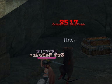 mabinogi_2010_05_01_01.jpg