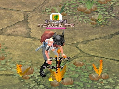 mabinogi_2010_05_01_05.jpg