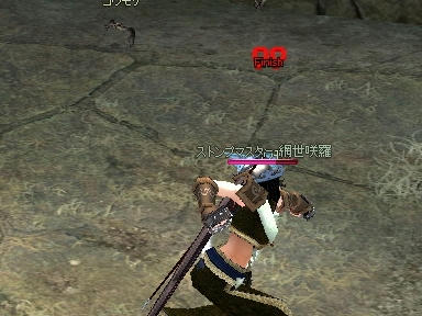 mabinogi_2010_05_22_01.jpg