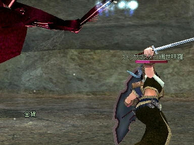 mabinogi_2010_05_22_02.jpg