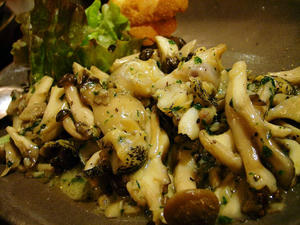 えすかるごつぶ