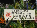 36a76953.jpeg