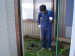 除草剤の散布