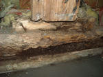 DSCN6549_R.jpg