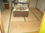 DSCN8058_R.jpg