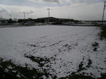 P3030003_R.jpg