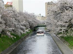 DSC01198_R.jpg