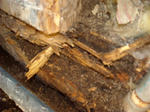 DSCN6536_R.jpg
