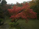 DSC08388_R.jpg