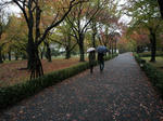 source_DSC08421_R.jpg