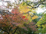 source_DSC08459_R.jpg