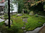 DSC08428_R.jpg