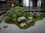 DSC08439_R.jpg