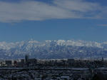 DSC08531_R.jpg