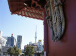 DSC08655_R.jpg