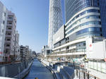 DSC08666_R.jpg