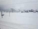 IMG_0299_R.jpg
