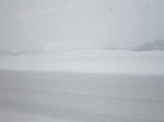 IMG_0303_R.jpg