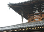 DSC08702_R.jpg