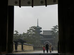 DSC08715_R.jpg