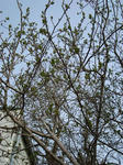 DSC05338.jpg