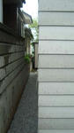 DSC05368.jpg