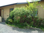 DSC05576.jpg
