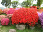 DSC05612.jpg