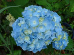 DSC06032.jpg