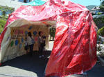 DSC06113.jpg