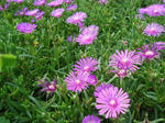 DSC06202.jpg