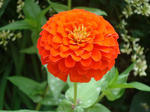 DSC06383.jpg