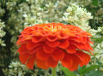 DSC06384.jpg