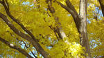 DSC06683.jpg