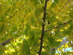 DSC06687.jpg