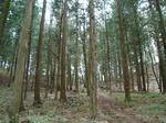DSC07880.jpg