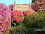 DSC07940.jpg