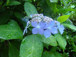 DSC08274.jpg