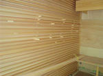 DSC08771.jpg