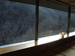 DSC00279.jpg