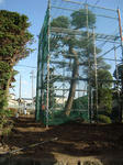 DSC00421.jpg