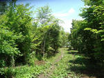 DSC01040.jpg