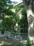 DSC01019.jpg