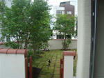 DSC01083.jpg