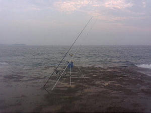 20080913173246.jpg