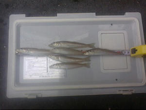 20081005104004.jpg