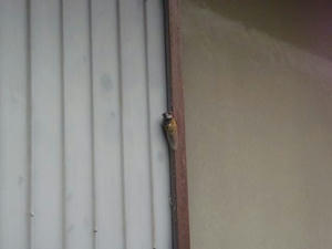 PC150007_640.jpg