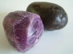 DSCF0015.JPG
