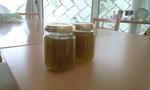 090803_1300~0001.jpg
