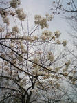 DSC00488.JPG